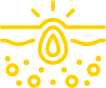 BZ - Anti-inflammatory